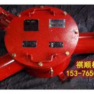 BHG1-200矿用防爆接线盒铠装喇叭口